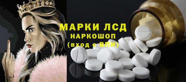 мдпв Каменногорск