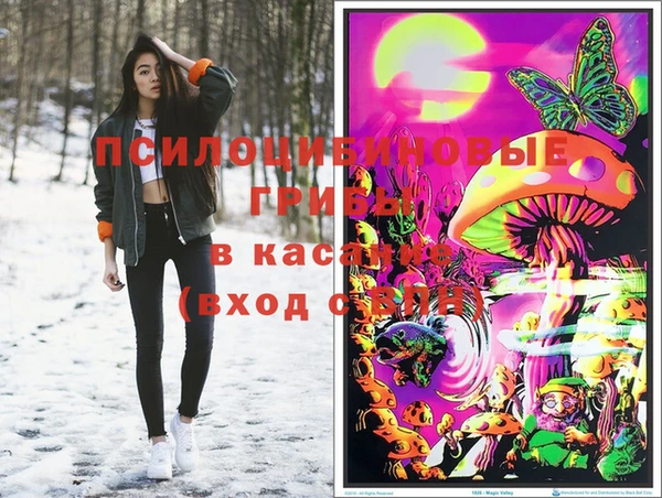 кокаин Каменка