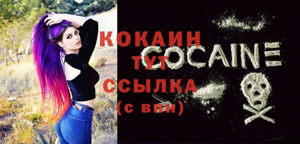мдпв Каменногорск