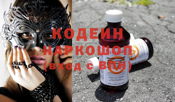 мдпв Каменногорск