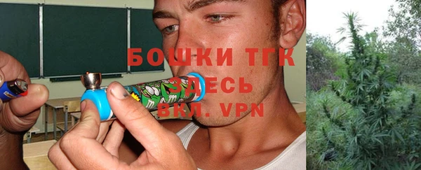 мдпв Каменногорск
