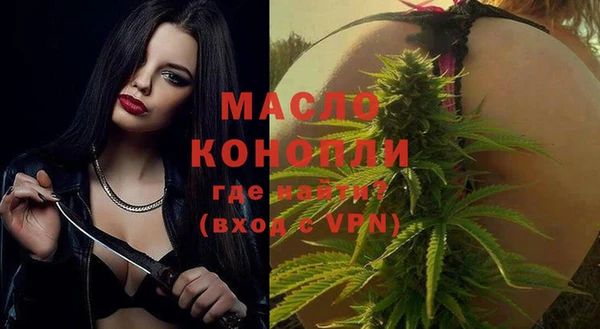 мдпв Каменногорск
