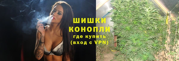 мдпв Каменногорск