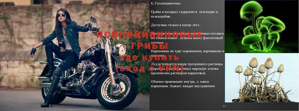 мдпв Каменногорск