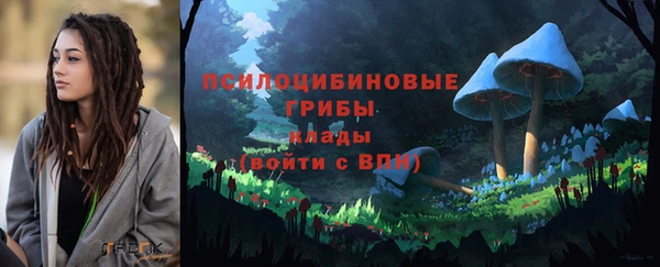 кокаин Каменка
